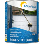 Aquaplan Renov'Toiture  1L 02793001